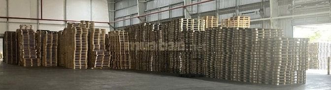 Tìm Đối Tác Sang Nhượng Lô Pallet Sắt- Pallet Gỗ + Ván Ép