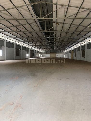 Cho thuê kho xưởng 1000m2; 2000m2; 5000m2; 10.000m2 QL 51, Long Thành