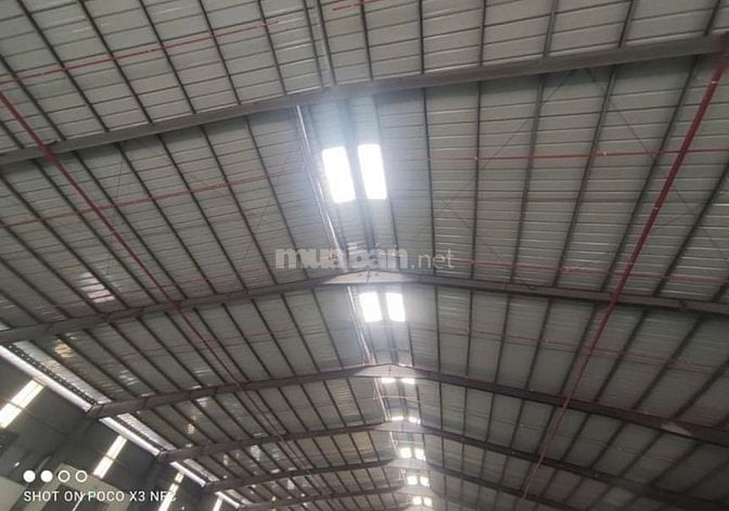 Cho thuê kho xưởng KCN Cát Lái, Q2. DT 1000m2; 3500m2; 5000m2; 10000m2