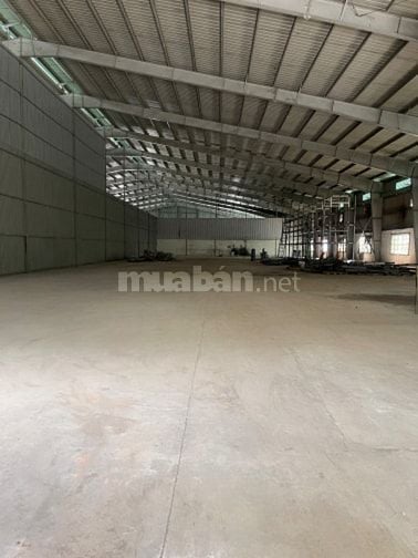 Cho thuê kho xưởng KCN Cát Lái, Q2. DT 1000m2; 3500m2; 5000m2; 10000m2