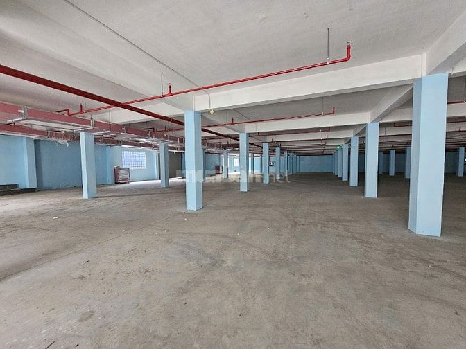 Cho Thuê Kho Xưởng Tại KCN Đức Hòa Đông,Long An,tdt:6.000m2,X: 4.000m2