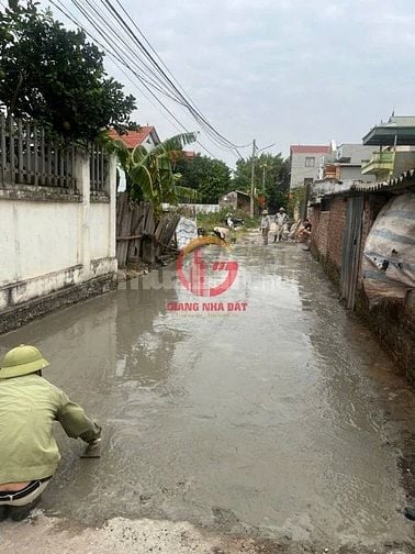 Chính chủ bán gấp, Đình Trung, Xuân Nộn, Đông Anh, đường trục chính, 5