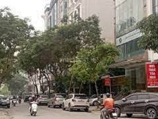 Bán tòa khách sạn tại Cầu Giấy, 300m² x 9T, nhà 2 mặt đường Dòng tiền 