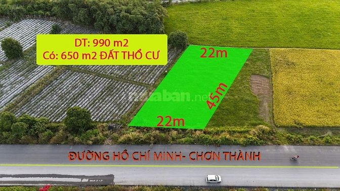 1.000 m2 đất thổ cư đường Hồ Chí Minh Đức Hòa, Long An giá đầu tư