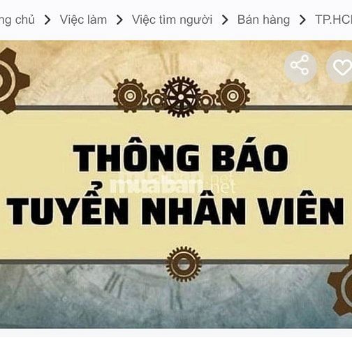 Tuyển nhân viên văn phòng làm việc tại TPHCM không cần kinh nghiệm 