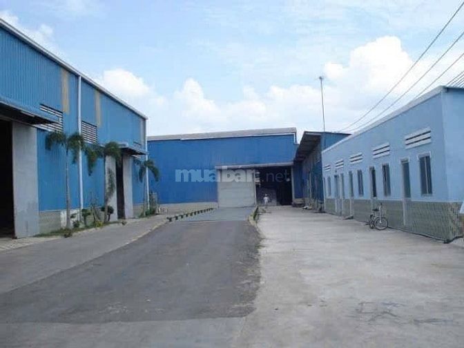 Cho thuê kho 5000m2, 7000 m2 cụm Song Thuận, Châu Thành, Tiền giang 