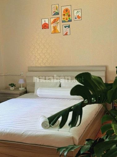 Welcome Đà Lạt - Homestay Villa PhiLe đang nhận đặt phòng Tết