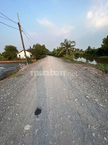 "CÔ GÁI CHÂN DÀI" HƠN 700m2. Đất Thị Trấn Đức Hoà, Xây Nhà Trọ quá VIP