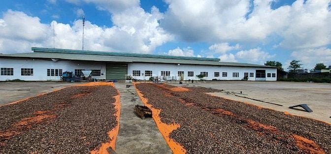 Nhà xưởng 27.000 m2  tại xã Xuân Phú huyện Xuân lộc, Đồng nai