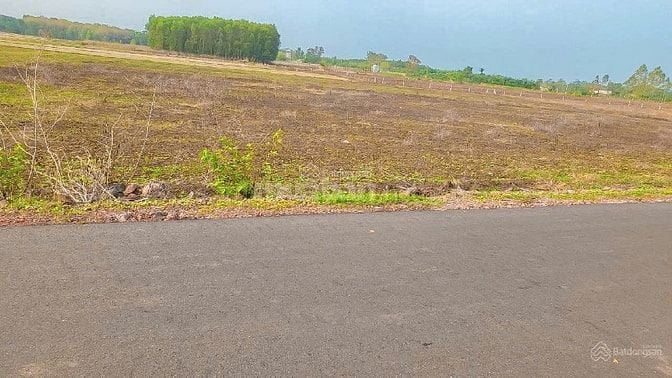 Cần bán 1.8ha đất mặt tiền nhựa đến 180m tại Suối Nghệ, giá đầu tư