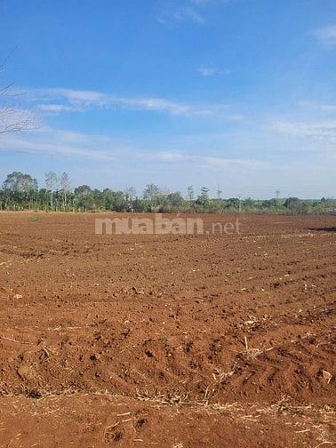 Cần bán 1.8ha đất mặt tiền nhựa đến 180m tại Suối Nghệ, giá đầu tư