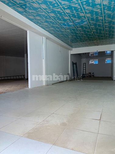 Cho thuê nhà hẻm nhựa 10m, gần Lê Đại Hành, DT: 342m2