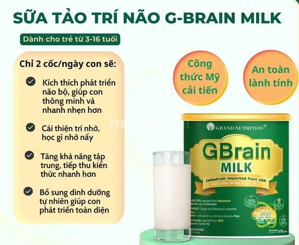 GBrain MILK sữa tảo trí não thông minh