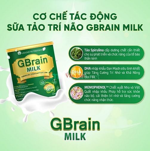 GBrain MILK sữa tảo trí não thông minh