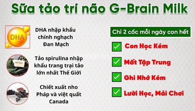 GBrain MILK sữa tảo trí não thông minh