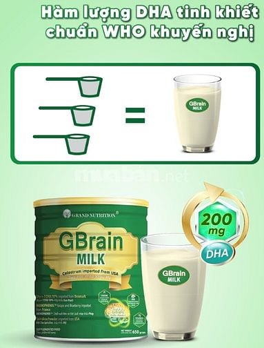 GBrain MILK sữa tảo trí não thông minh