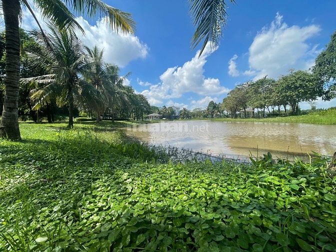 Giỏ hàng tốt nhất DA Park Riverside ngay The global city 5' Thảo Điền