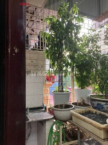 Bán nhà 5 tầng ngõ 290 Kim Mã, Quận Ba Đình, mặt tiền 5m