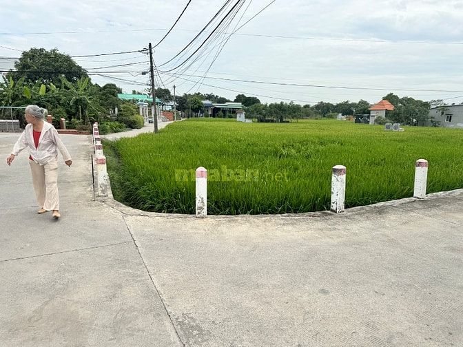 đất vườn cây lâu năm sát bên nhà trẻ mẫu giáo Quỳnh anh