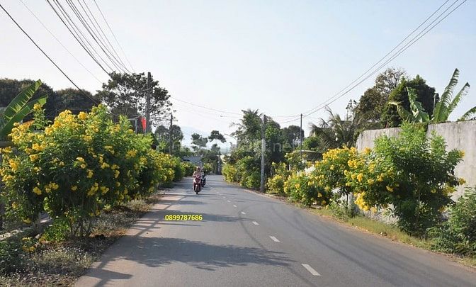 Đất Mặt Tiền Đường Nhựa Liên Huyện Bình Dương Giá Siêu Tốt