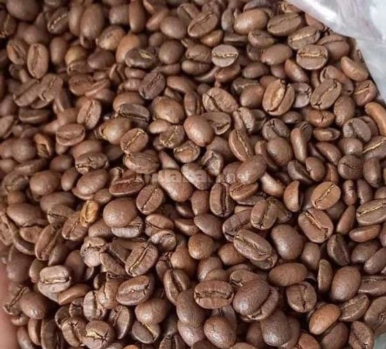 Cà phê Arabica rang xay tại chỗ