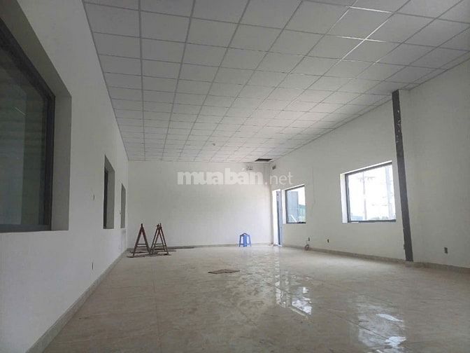 Cho thuê kho xưởng KCN Tân Thạnh Đông, Củ Chi, KV: 6000m2, X: 3600m2