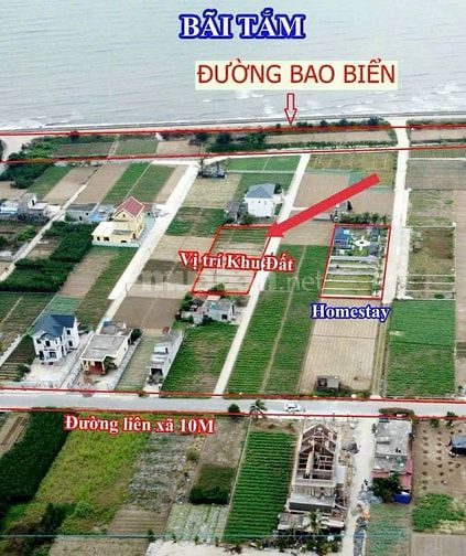 BÁN ĐẤT TẠI QUẤT LÂM GIAO PHONG. NAM ĐỊNH 