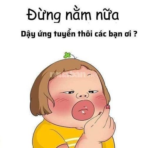 Nhu cầu phục vụ mùa tết cần gấp 5 A/C  soạn hàng, đóng gói, giao han