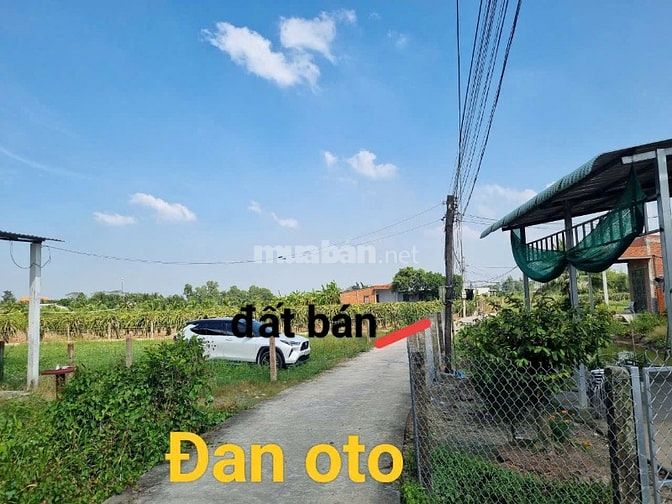 Bán 1000m2 đất lúa Hoà Phú đường đan 3m