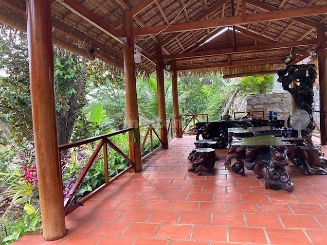 Bán khu nghỉ dưỡng Homestay ,Vườn ,cây ăn trái Ninh thuận Song Pha 