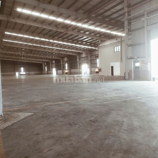 Cho thuê nhà xưởng hiện đại tại  KCN Đức Hòa , Long An , KV : 20.000m2