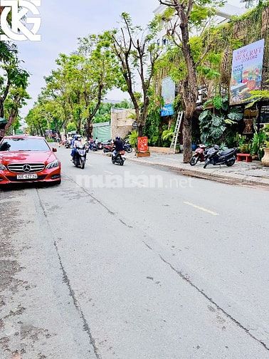 ❇️❇️❇️ Cho Thuê Nhà: 75 Xuân Thuỷ - P. Thảo Điền - Quận 2 ( 17x33m )