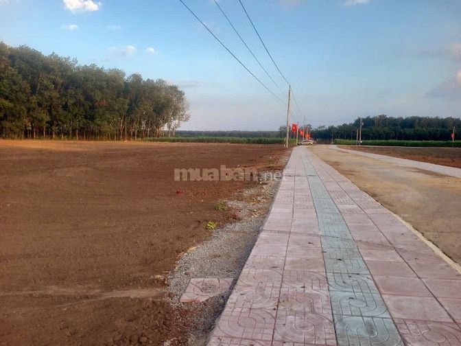 5x46(231m2) có 100m2 Thổ cư Minh Lập, Tx Chơn Thành giá 2xx(x nhỏ xíu)