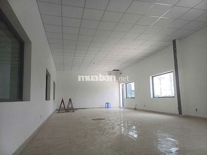 Cho thuê /bán kho xưởng 6100 m2  KCN Tân Thạnh Đông, Củ Chi, X: 3600m2