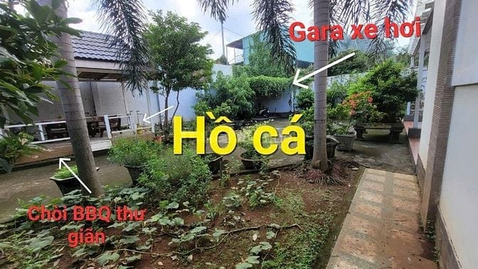 Chỉ 3tỷ1- 619m2 TP Biên Hòa, Khu Biệt thự Sỹ quan , BT sânvườn, hẻm 8m