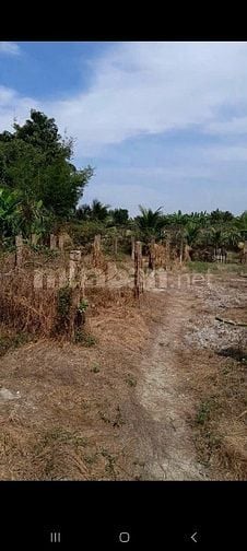 5000m2 full thổ cư cách nhựa 100m Hiệp Thạnh Châu Thành Long An 3.6 