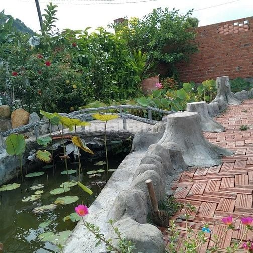 Cần bán nhà sân vườn và đất 3 phòng ngủ