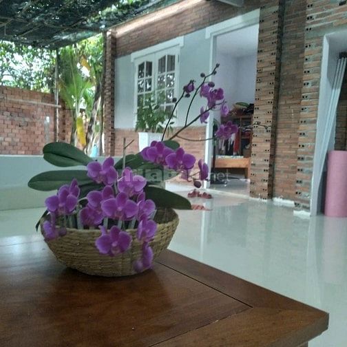 Trang thương mại điện tử bất động sản datdia