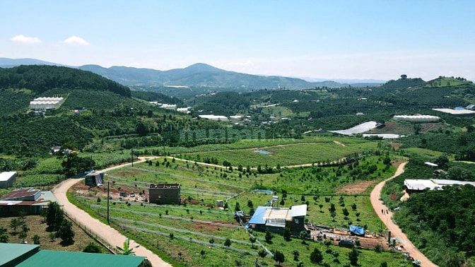 Bán 316m2 đất thổ cư Nam Hà, giá chỉ 590 triệu, sẵn thổ cư