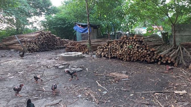Cho thuê giàn giáo, cốt pha, chống nêm, ván phủ phim, MDF ván