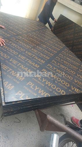 Cho thuê giàn giáo, cốt pha, chống nêm, ván phủ phim, MDF ván