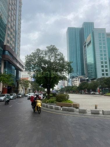 Cho thuê căn hộ chung cư số MT 7 Nguyễn Huệ, P. Bến Nghé, Quận 1.