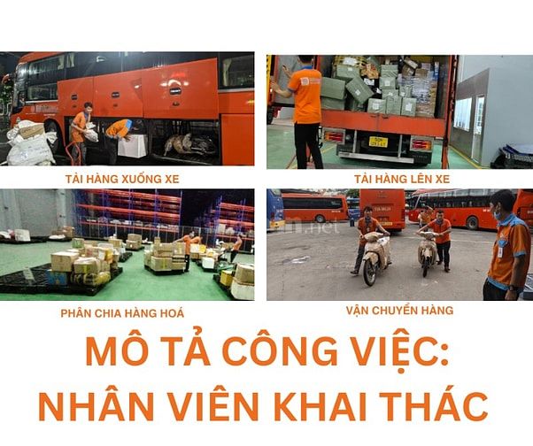 Tuyển LĐPT Nhân viên Khai thác (Tải Hàng Kho vận)