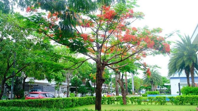 Bán Biệt Thự LOVERA PARK khang Điền, góc 2 mặt tiền View Công Viên