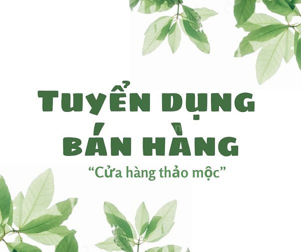 Cửa hàng thảo mộc tuyển dụng vị trí bán hàng