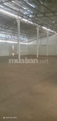 Cho thuê kho xưởng Nguyễn Ảnh Thủ, Q12, đất : 1.300m2, xưởng : 1.000m2