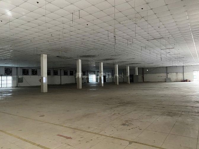 Cho thuê kho xưởng Nguyễn Văn Qúa, Q12 , KV : 8.000m2, kho : 1.200m2