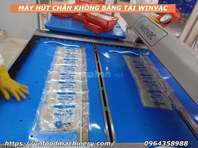 Máy hút chân không băng tải winvac