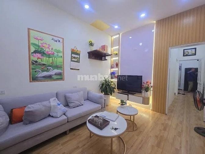 Nhà Đẹp Đón Tết Trương Định, Hoàng Mai 100m, giá 3.28 tỷ.