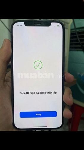 Mình cần bán iphone 12 thường 